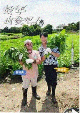 韩国综艺《无限挑战》海报